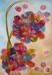 FLOWERS EVERYWHERE -olejový pastel na plátně 2012, 70 x 100 cm